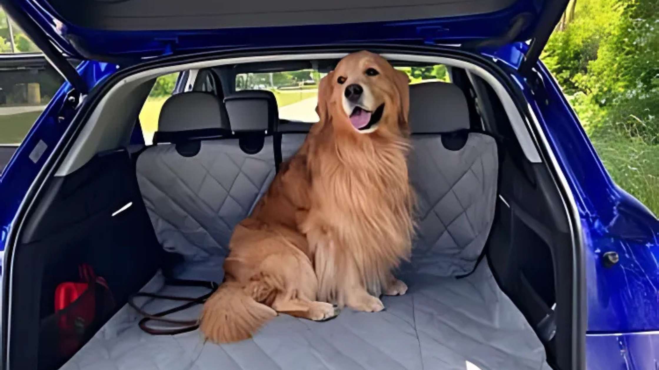 Essential Guide to Protecting Your Toyota 4Runner from Dog Hair and Dirt