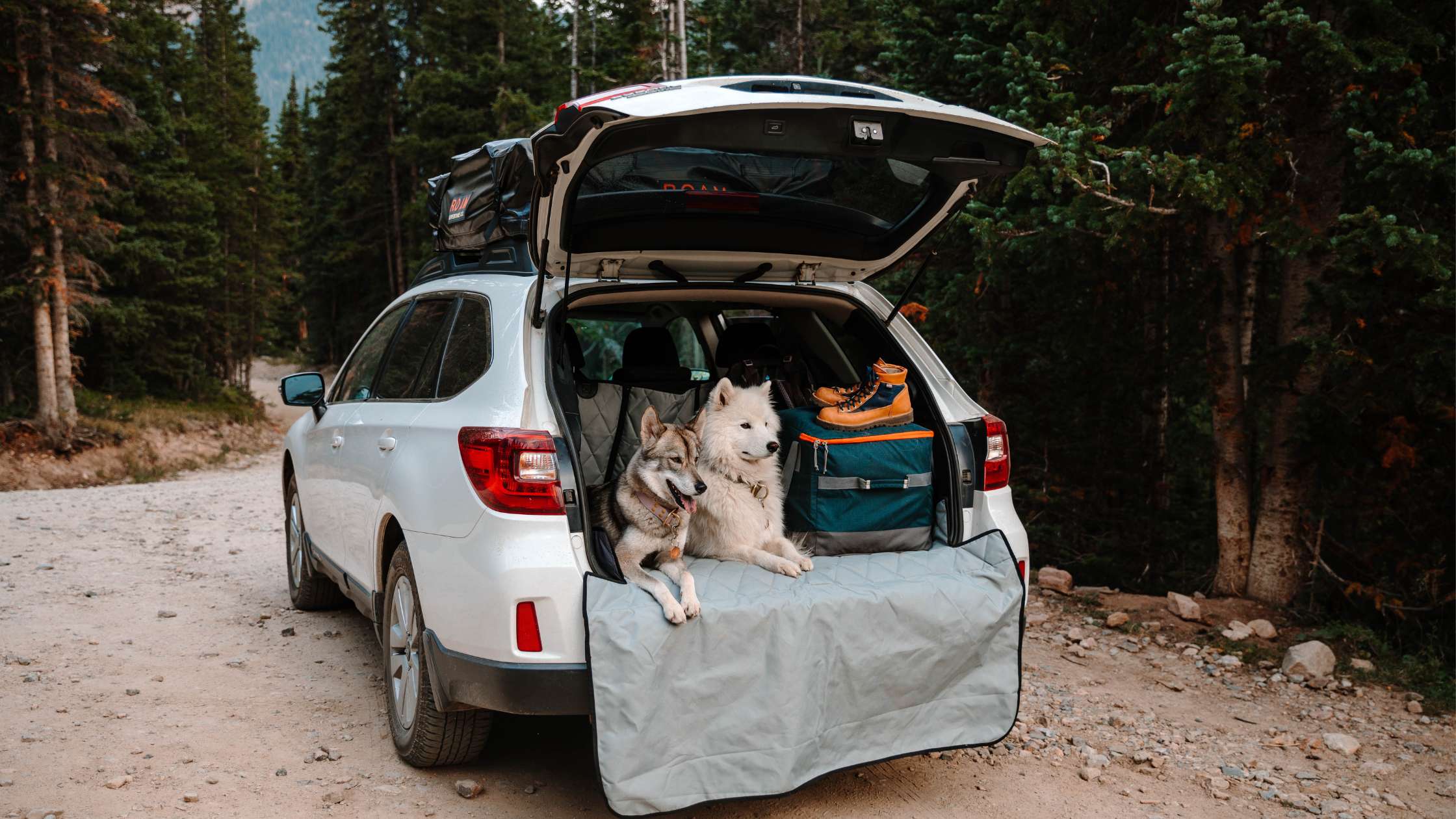 Why the 4Knines Split Cargo Liner Is the Ultimate SUV & Crossover Protector