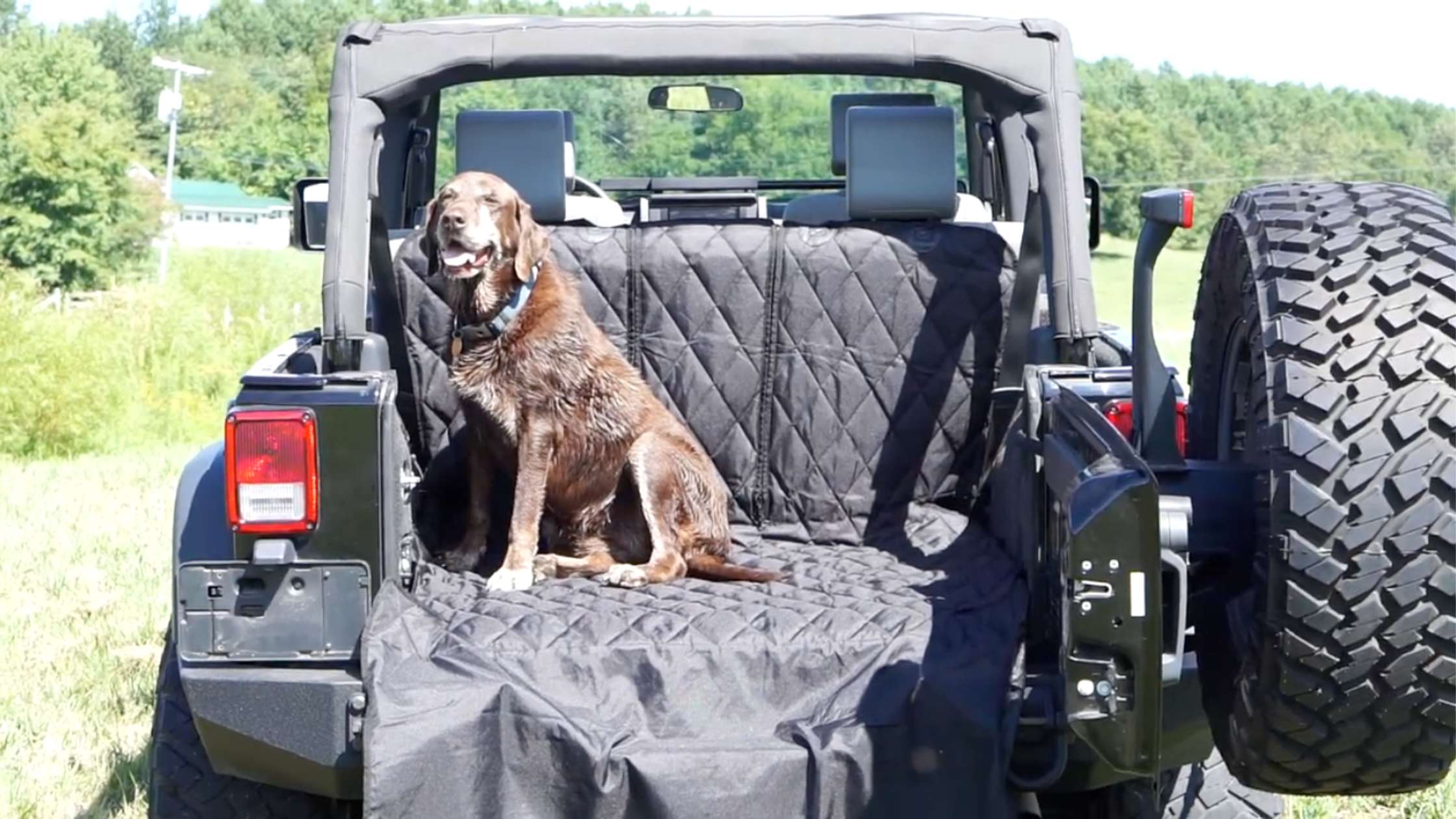 How to Clean a Pet Cargo Liner: Real-Life Advice for Dog Owners Who Go Everywhere