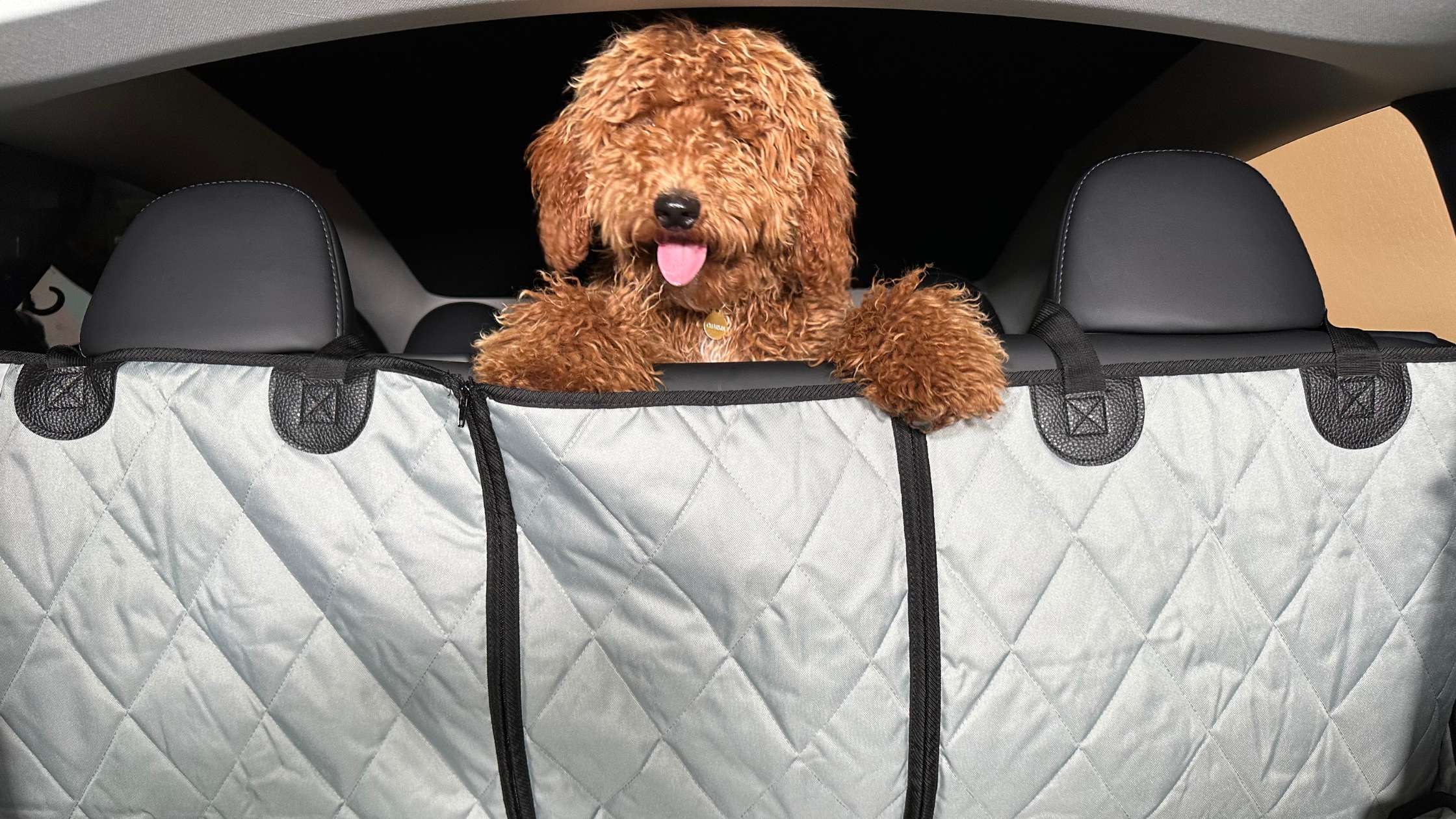 The Ultimate Guide to Choosing a Dog Backseat Cover for Your Car