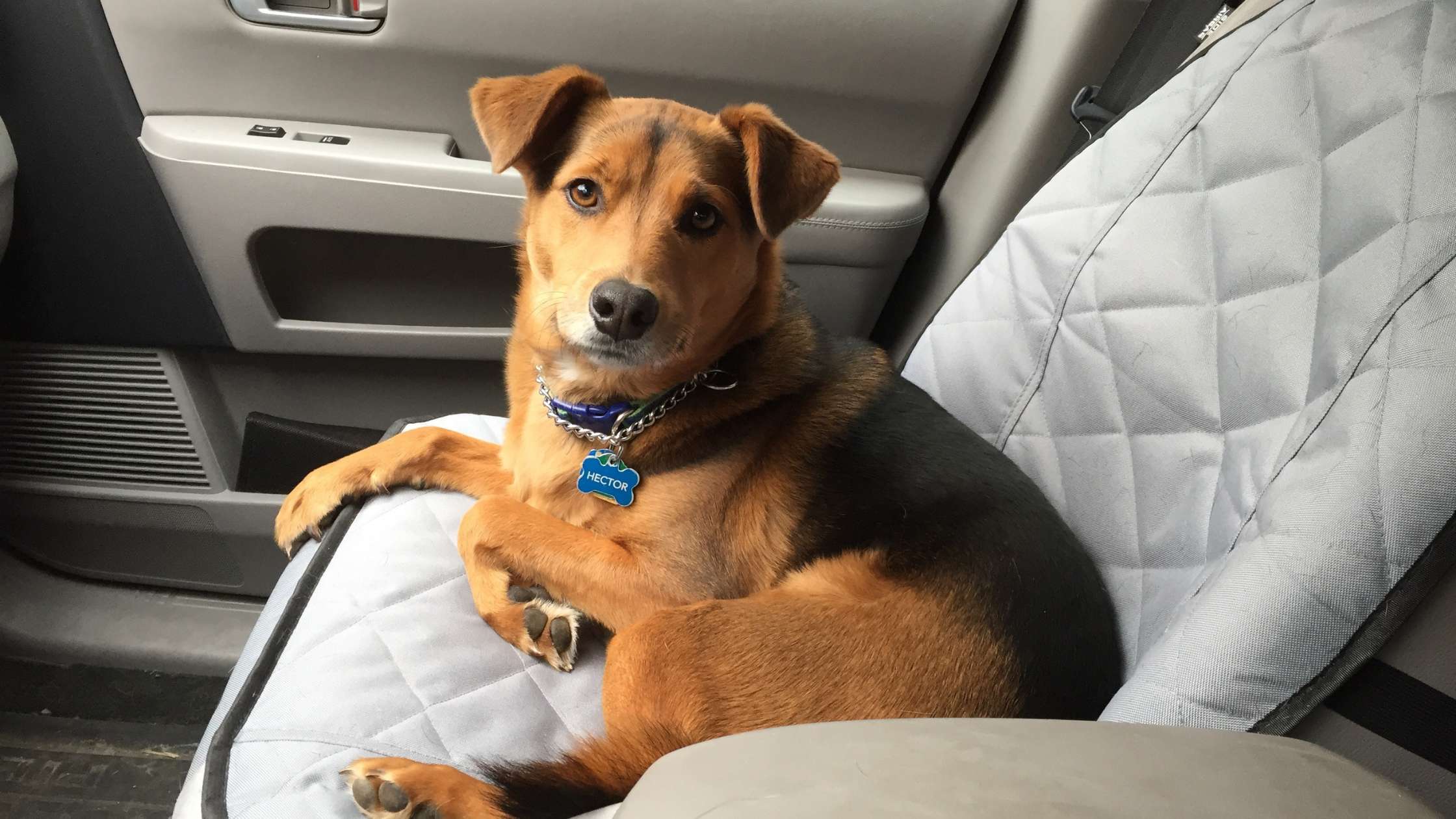 What is the Best Material for Truck Seat Covers: Ultimate Guide 2026