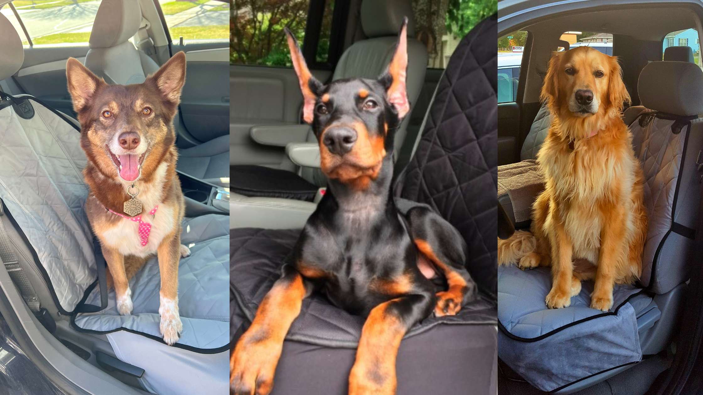 What Features Should I Look for in a Front Seat Dog Cover?