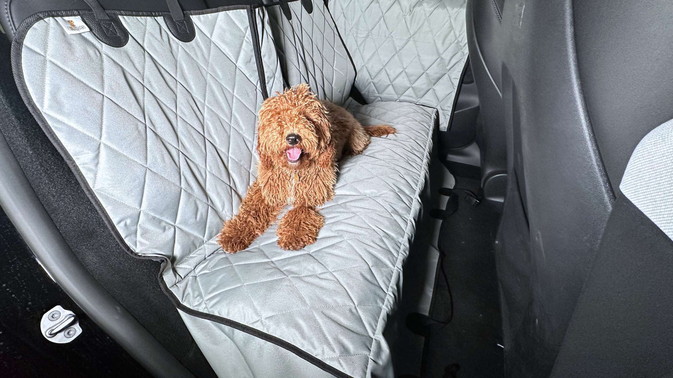 Why Premium Car Seat Covers Are a Must for Dog Owners?