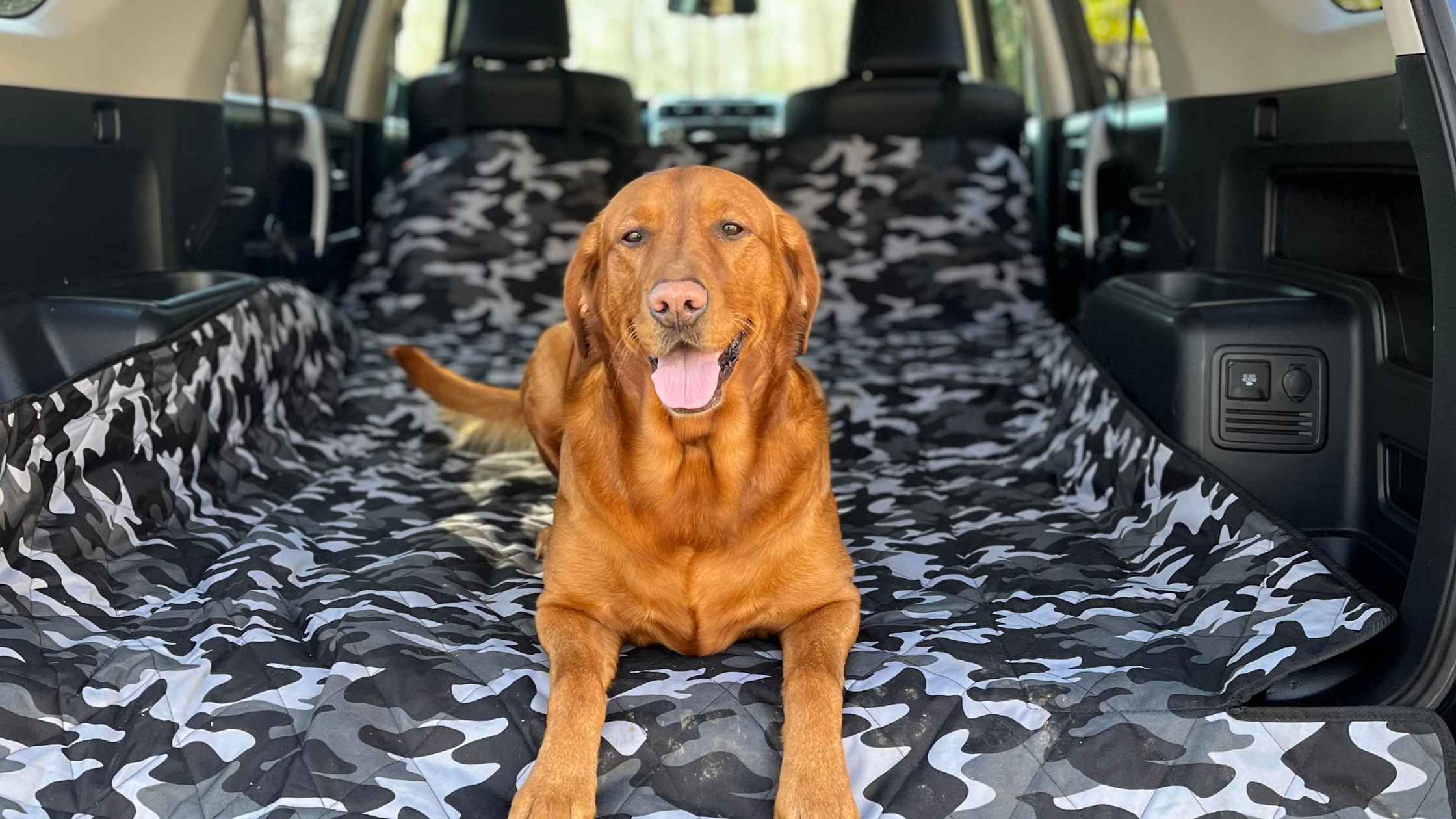 Ultimate Guide to Protecting Your SUV from Pet Messes and Daily Wear