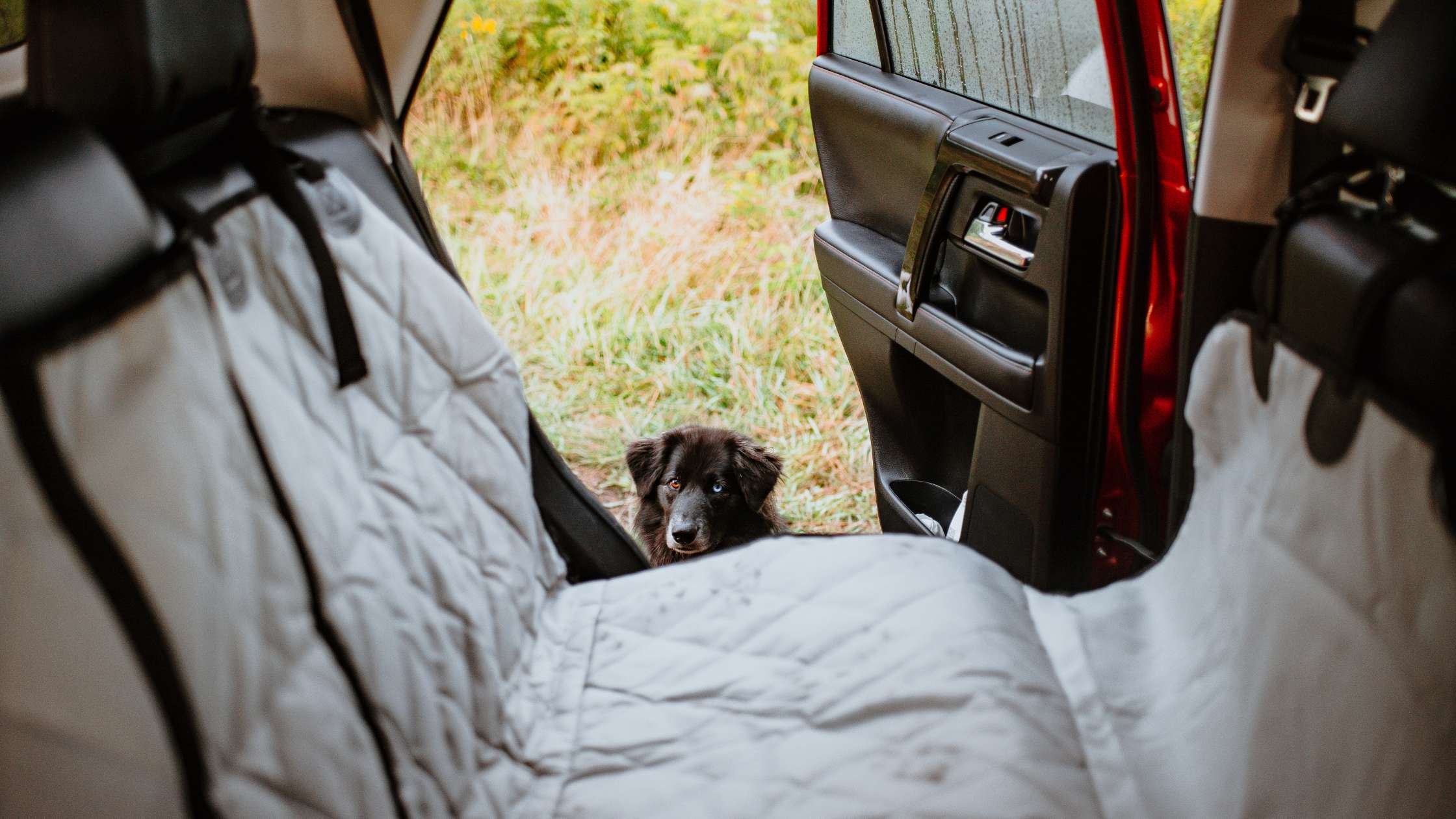 Travel Safely with Premium Dog Seat Covers: 4Knines Protection