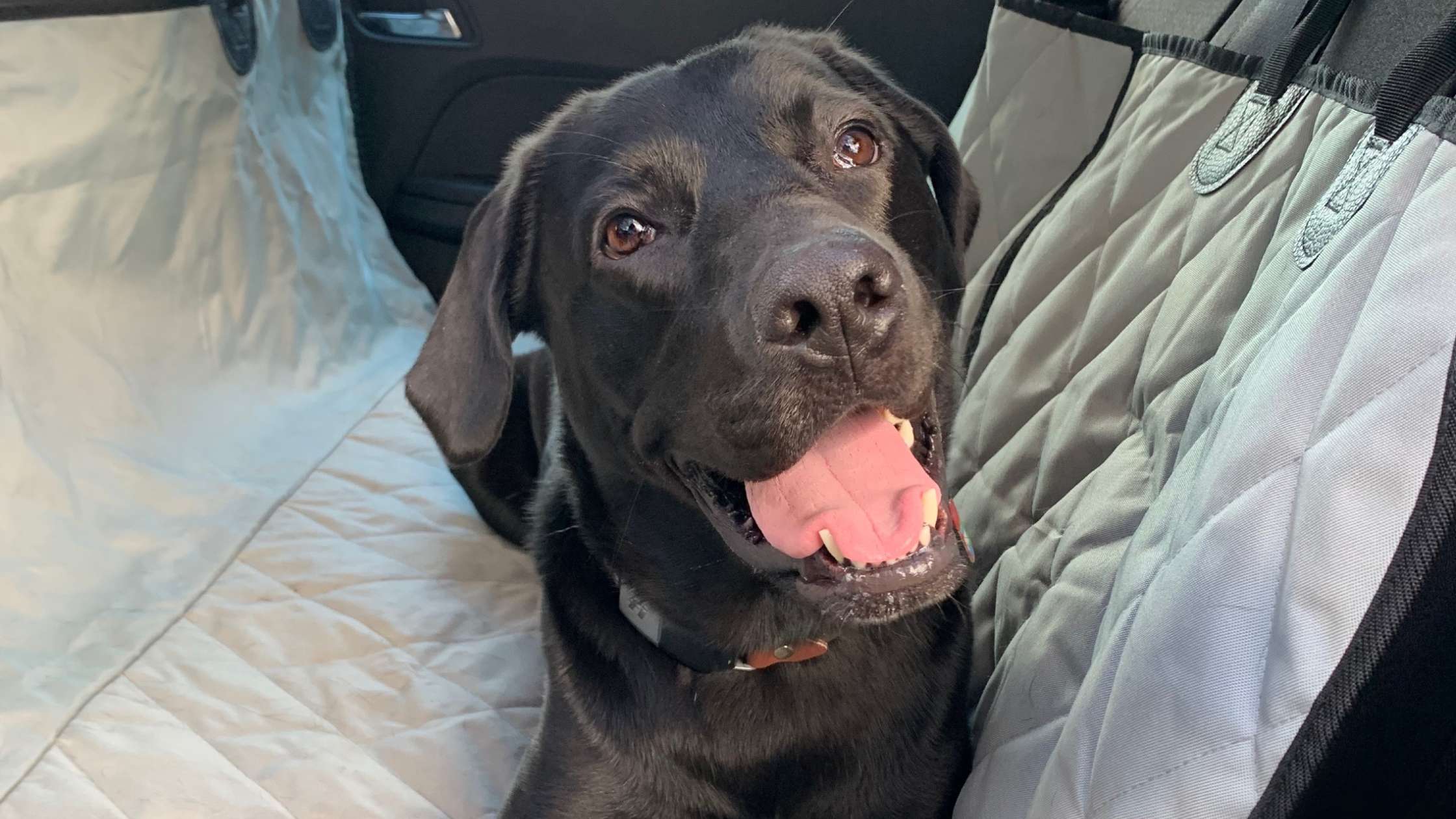 Why Quality Seat Covers are Essential for Your Vehicle's Interior Protection