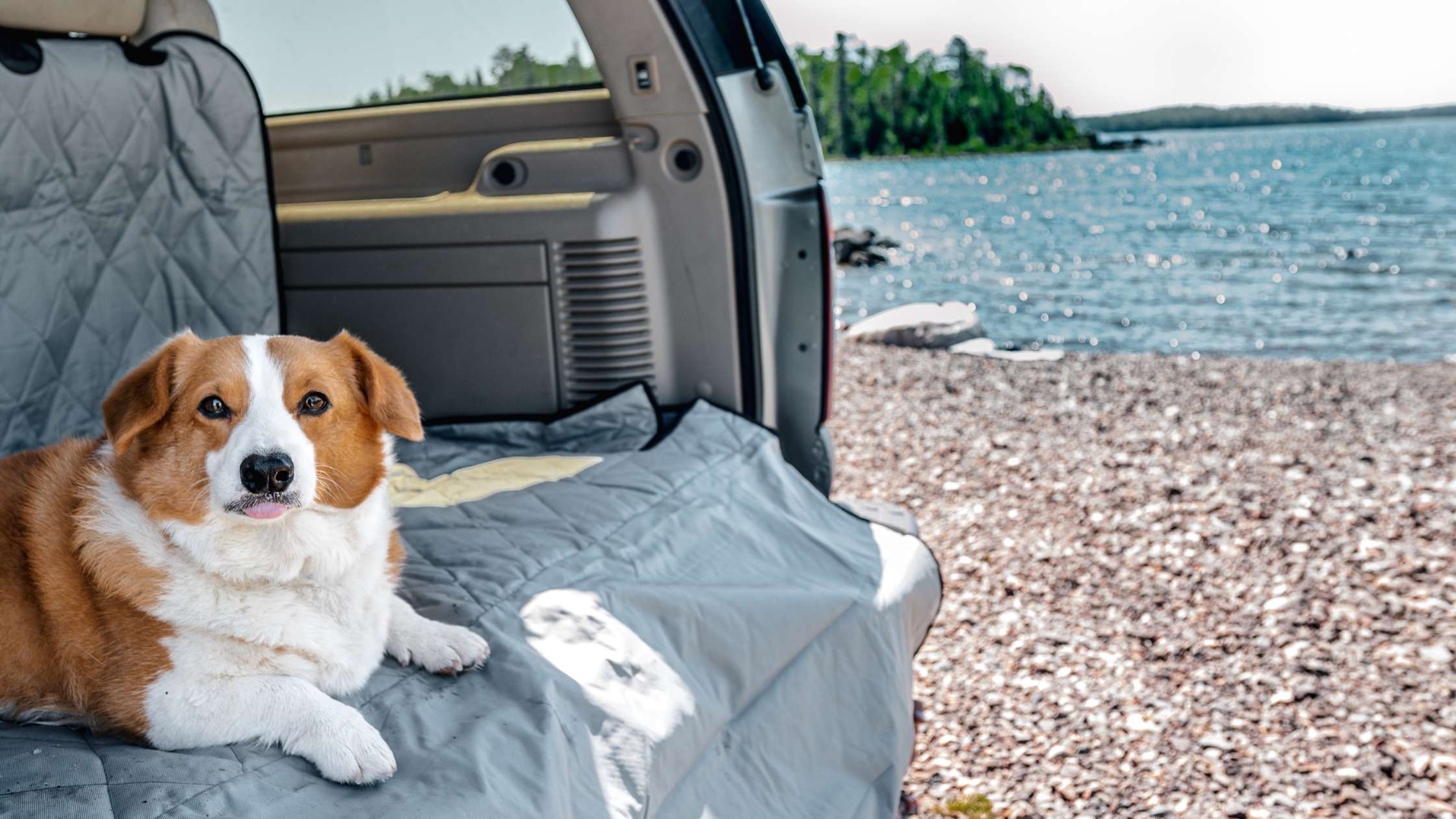 Top Premium Dog Cargo Liner Features for SUVs: Upgrade Your Pet Travel