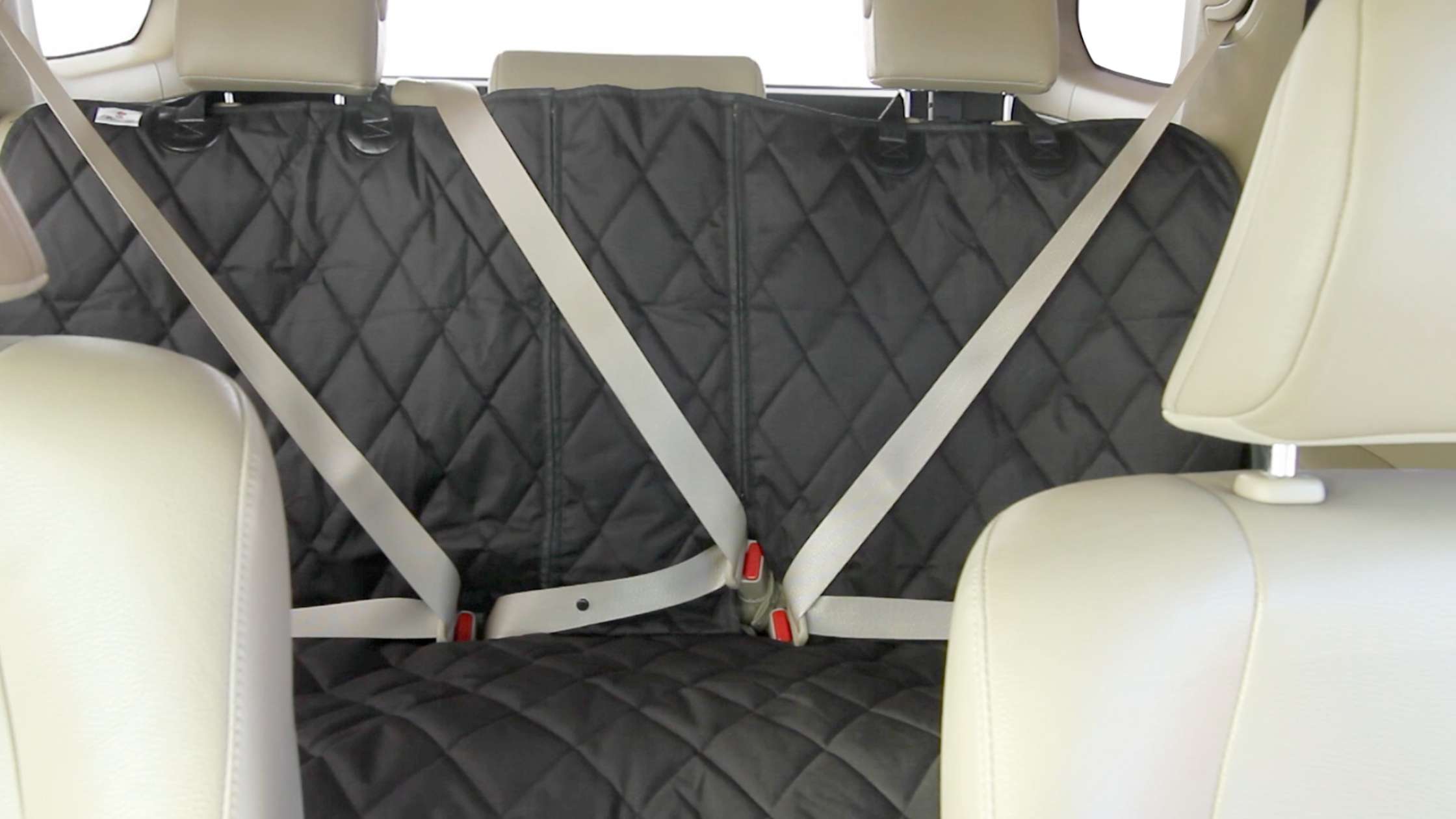 Can You Use Seat Belts with a Dog Car Seat Cover Installed?