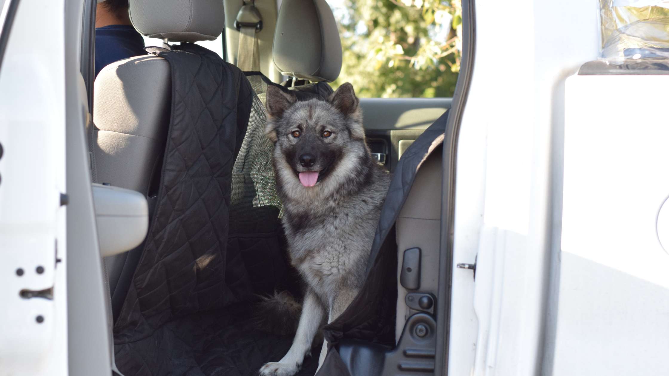 4Knines Truck Floor Hammock for Dogs