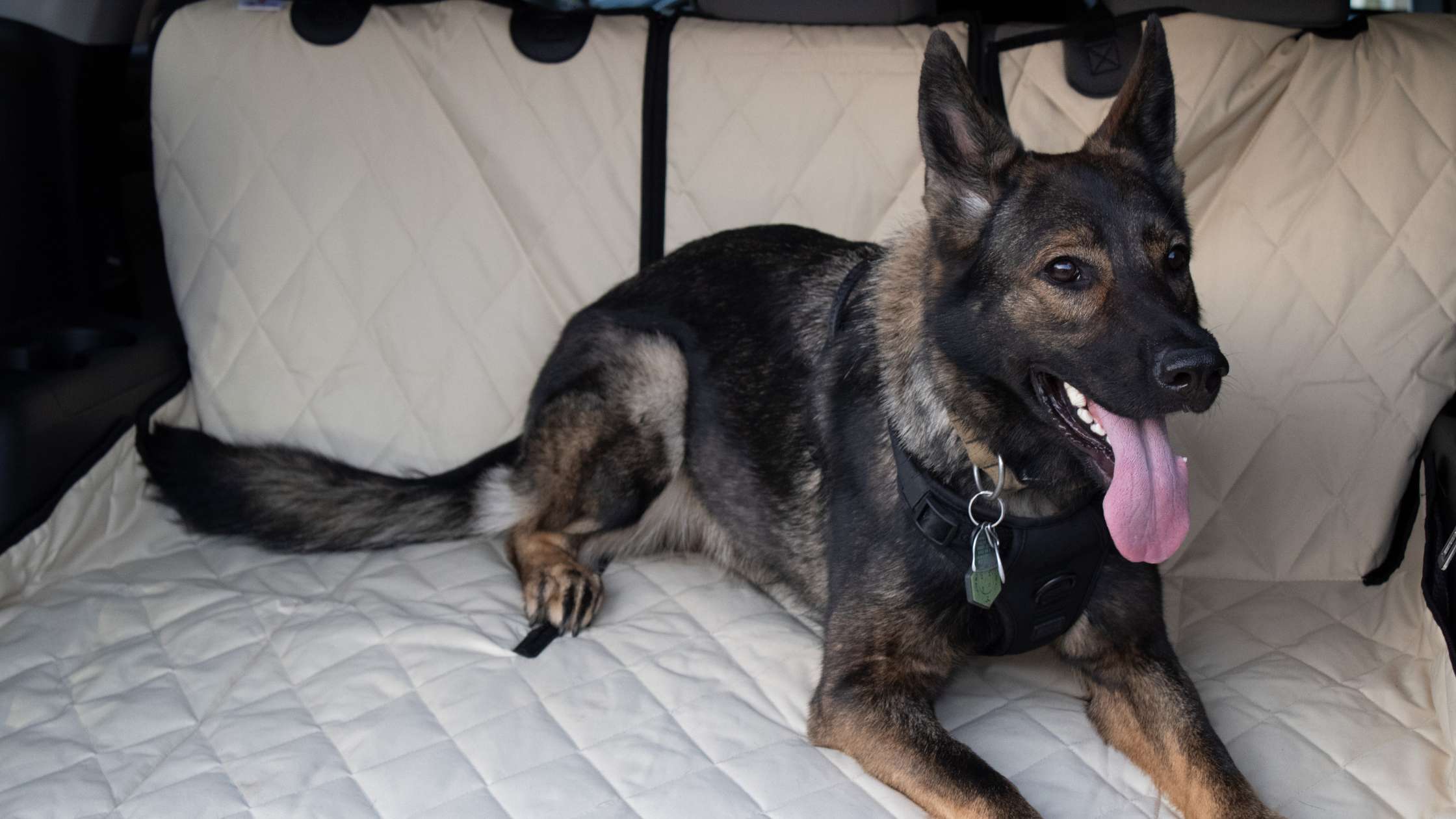 How Cargo Liners Enhance Pet-Friendly SUV Travel: Expert Tips