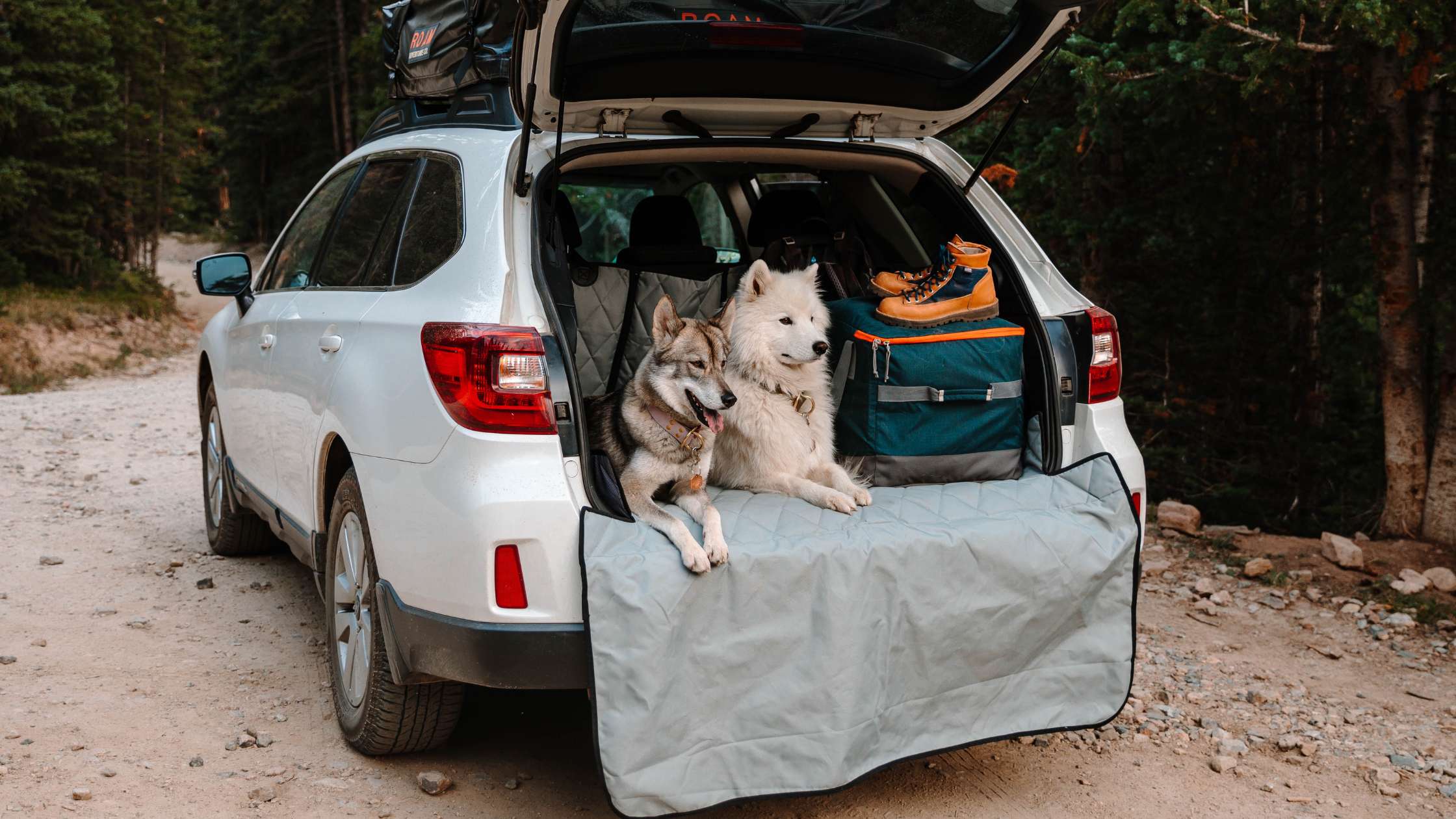 Best Cargo Liners for Toyota 4Runner: Keep Your Car Clean with Pets