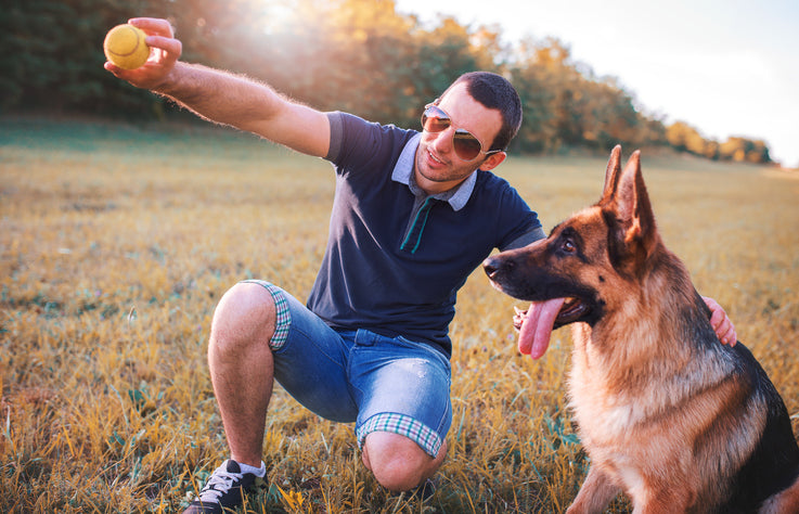 5 Effective Ways to Calm a High Energy Dog