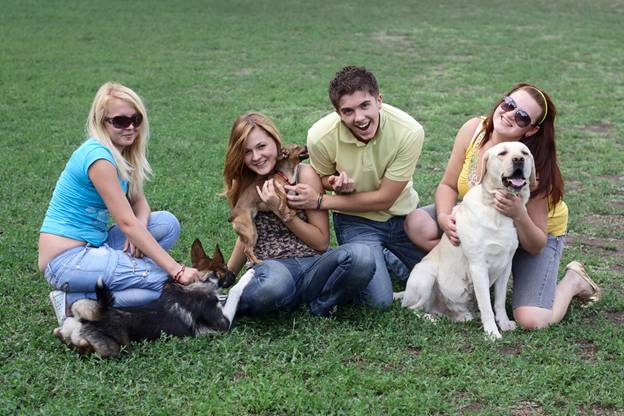 5 Psychological Benefits to Having Pets at Home