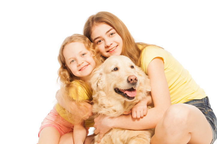 5 Reasons Why Adopting a Senior Dog Beats Buying a Puppy