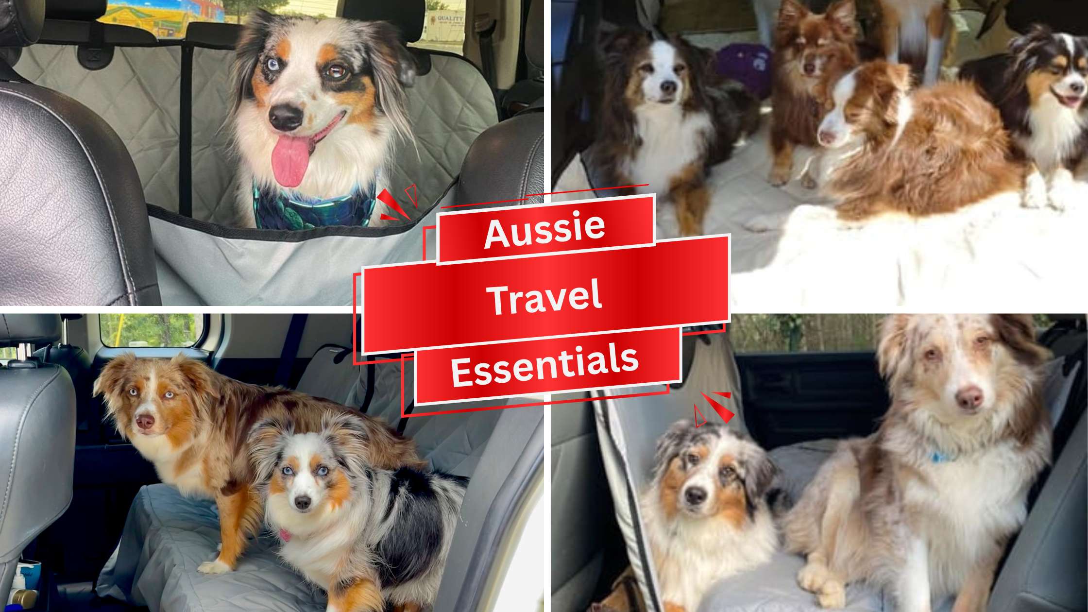 Top Travel Essentials for Australian Shepherds: Keep Your Car Clean and Pup Happy