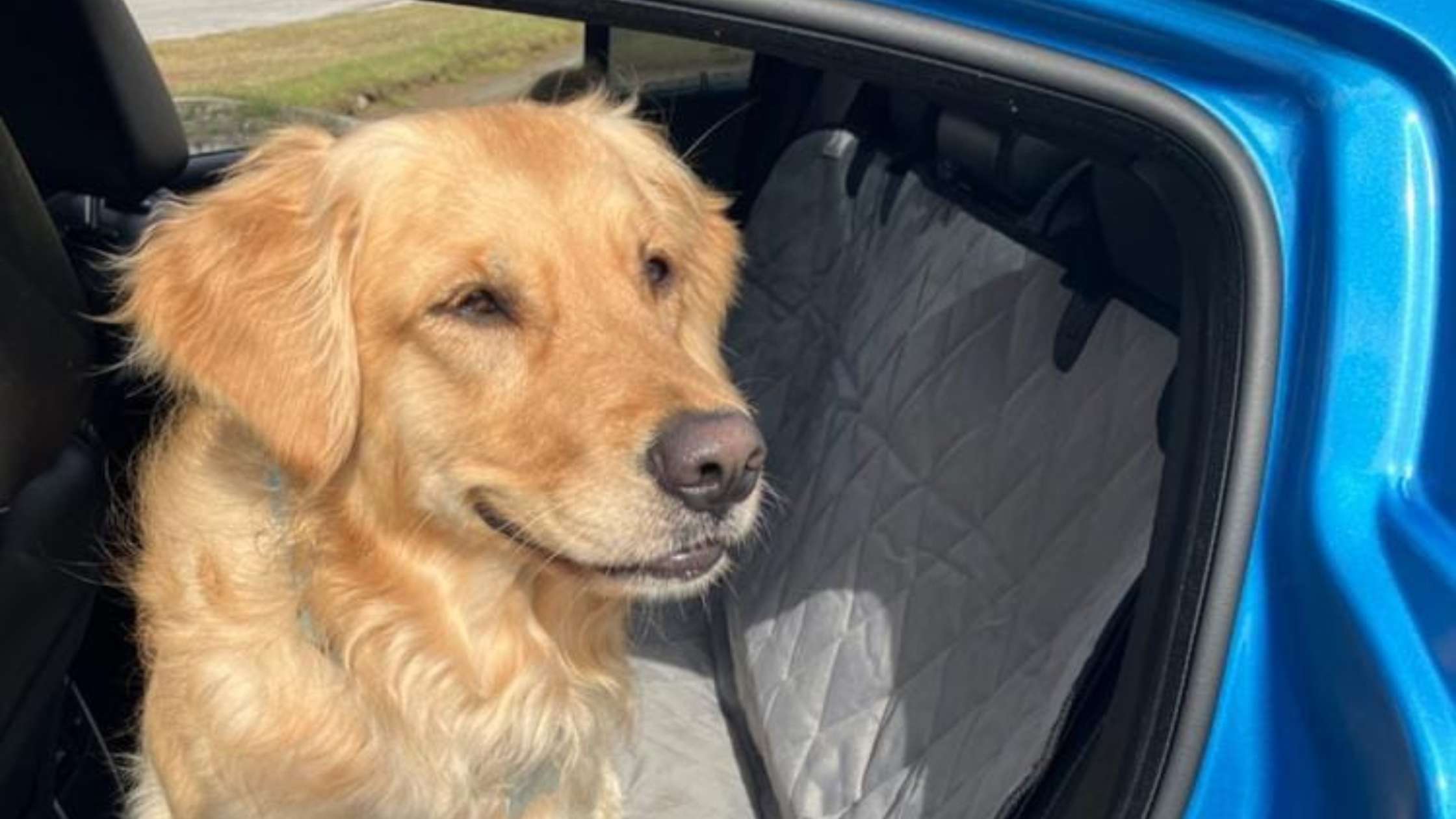 Which Type of Car Seat Cover Is Best? Durability, Waterproofing, and Comfort Compared