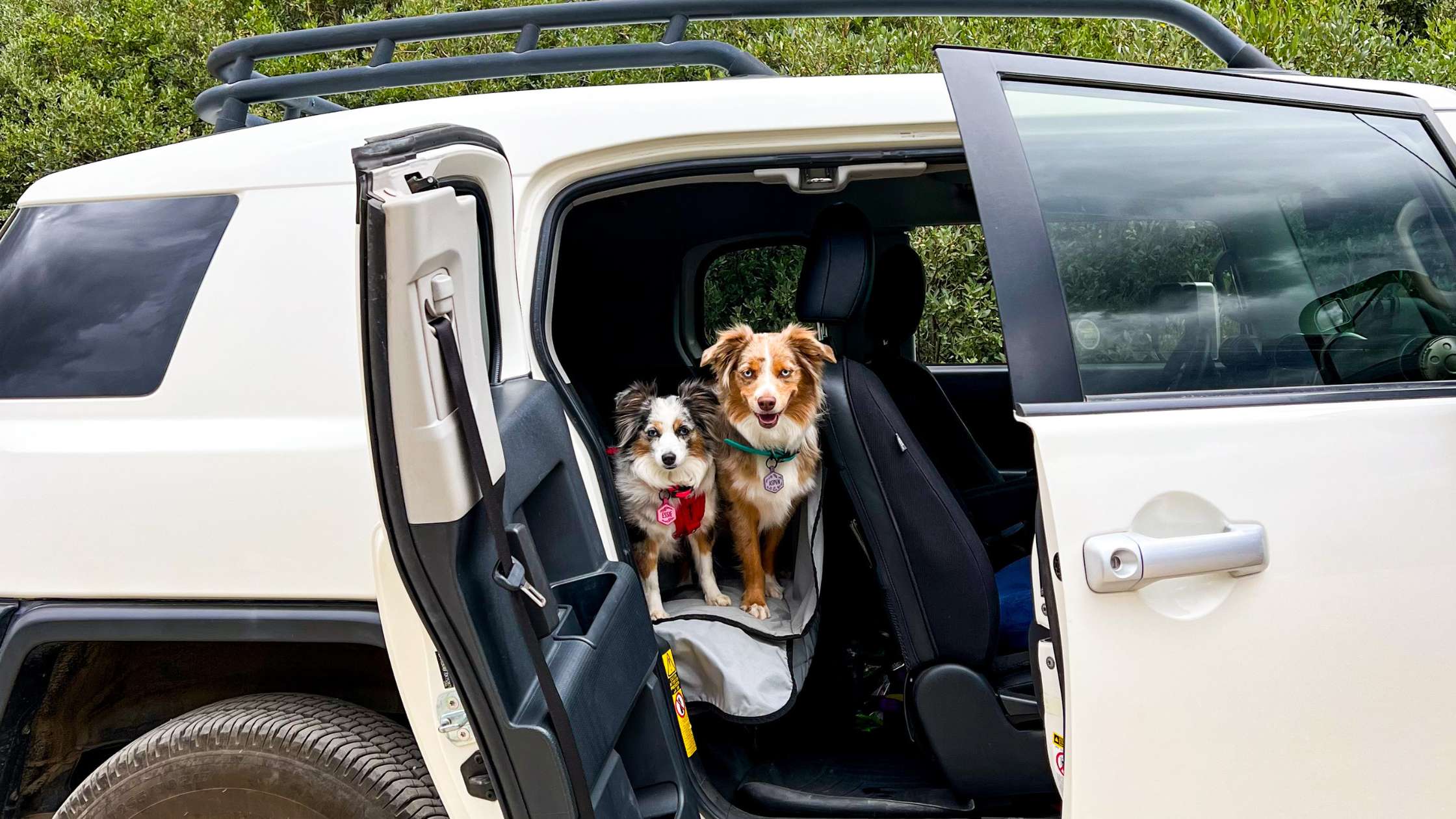 Protect Your Car Interior: Best Dog Backseat Covers 2025