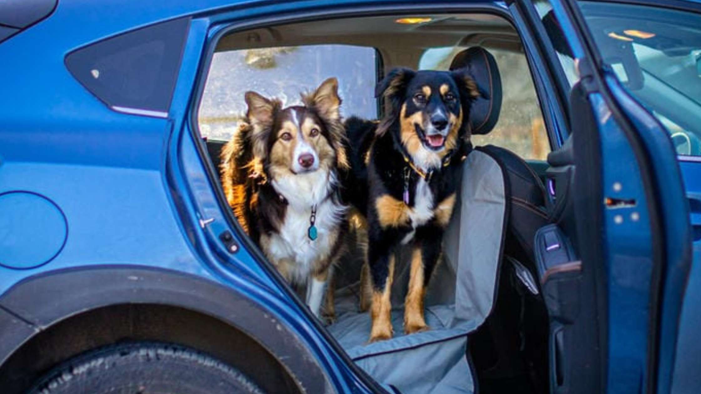 Durable Car Seat Covers for Large Dogs | Waterproof & Non-Slip Protection