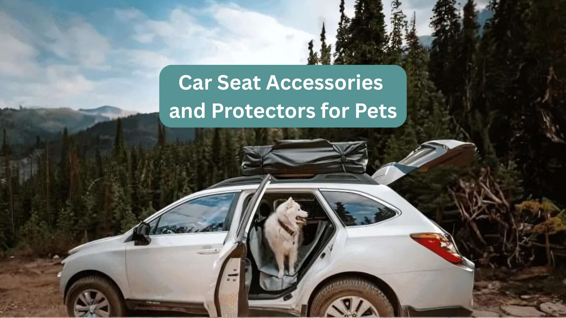Car Seat Accessories and Protectors for Pets, Kids & Everyday Messes
