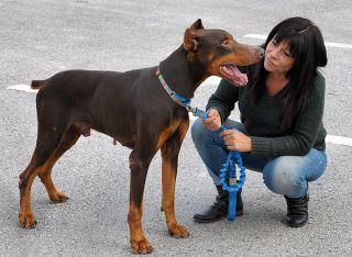 November 2025 Spotlight: Dobie Ranch Rescue Inc.