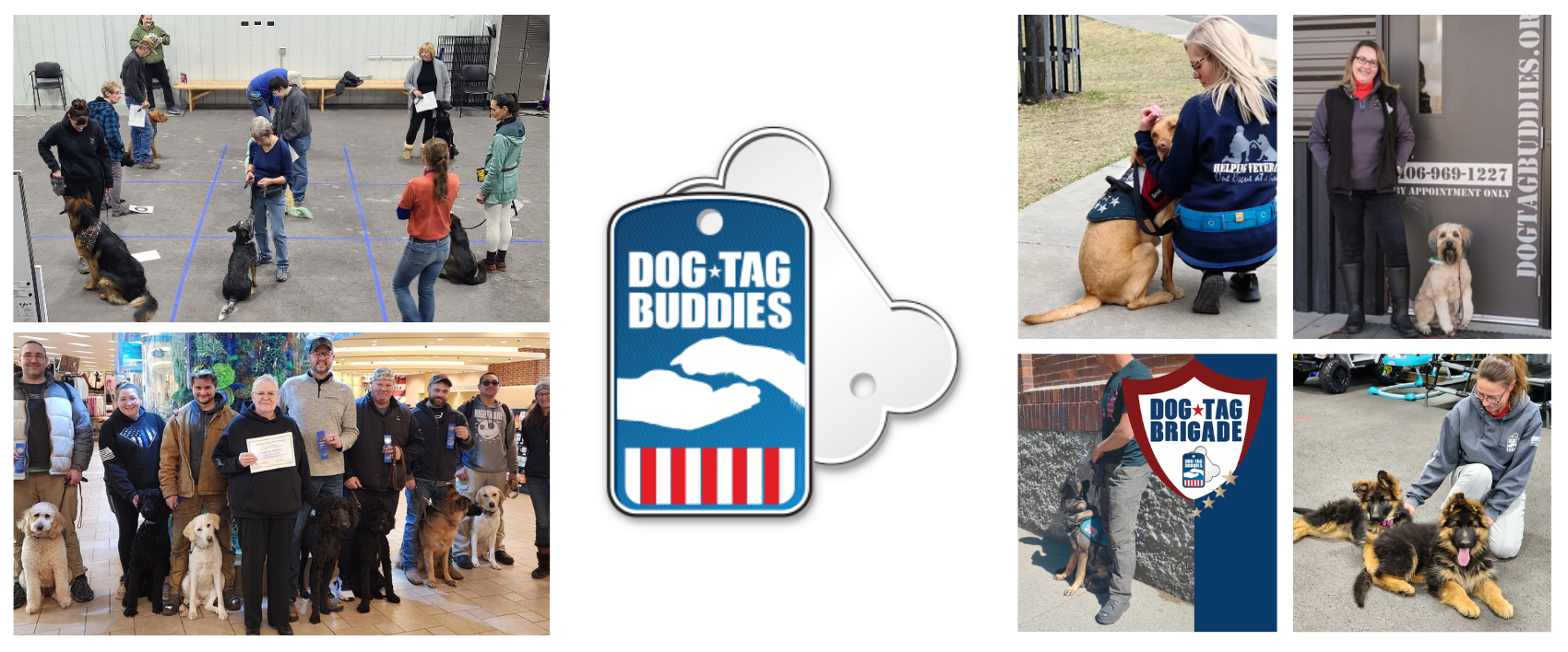 March 2025 Spotlight: Dog Tag Buddies