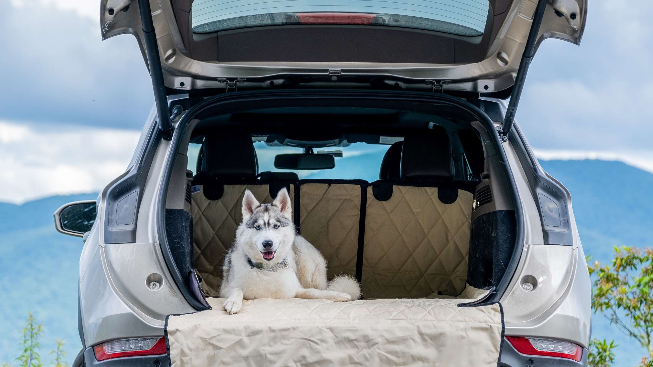 4Knines Dog Travel Safety and Comfort