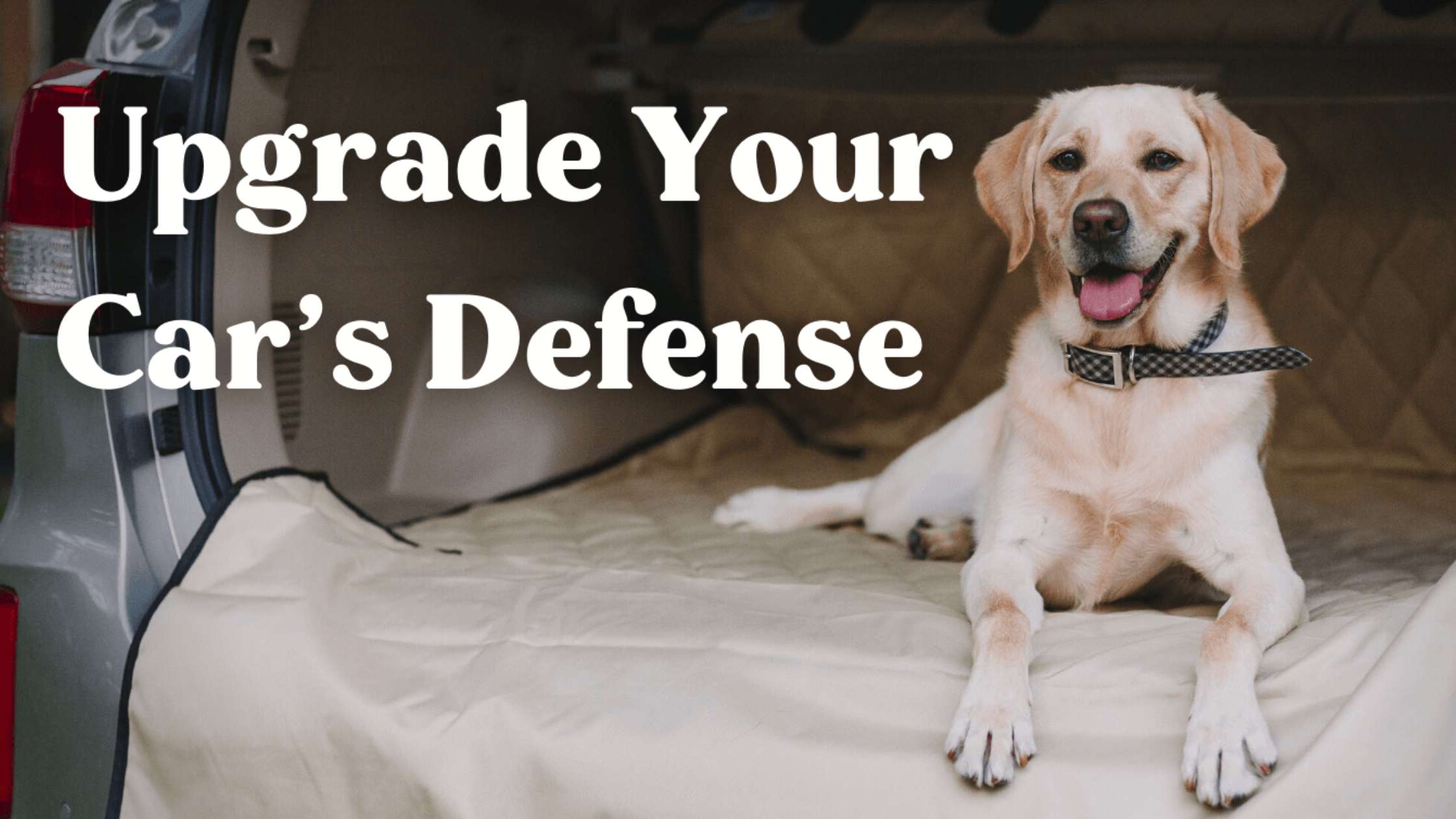 The Ultimate Guide to Perfectly Sized Dog Car Seat Covers