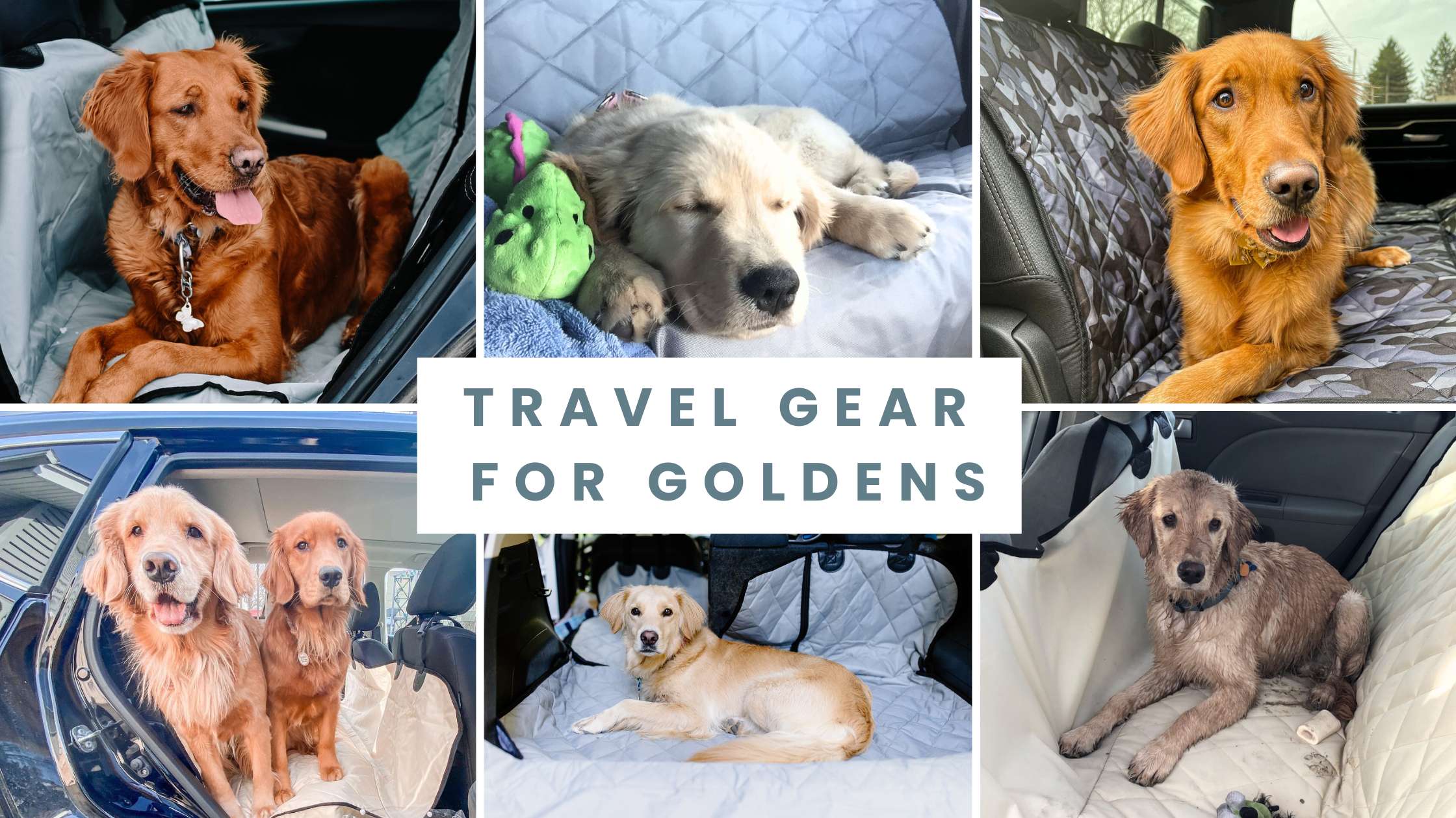 Travel Essentials for Golden Retrievers | Best Seat Covers & Gear