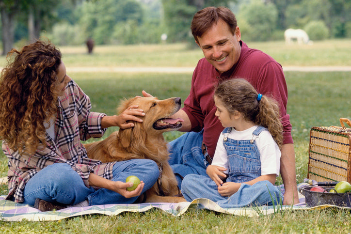 How to Educate Your Children on Canine Behavior