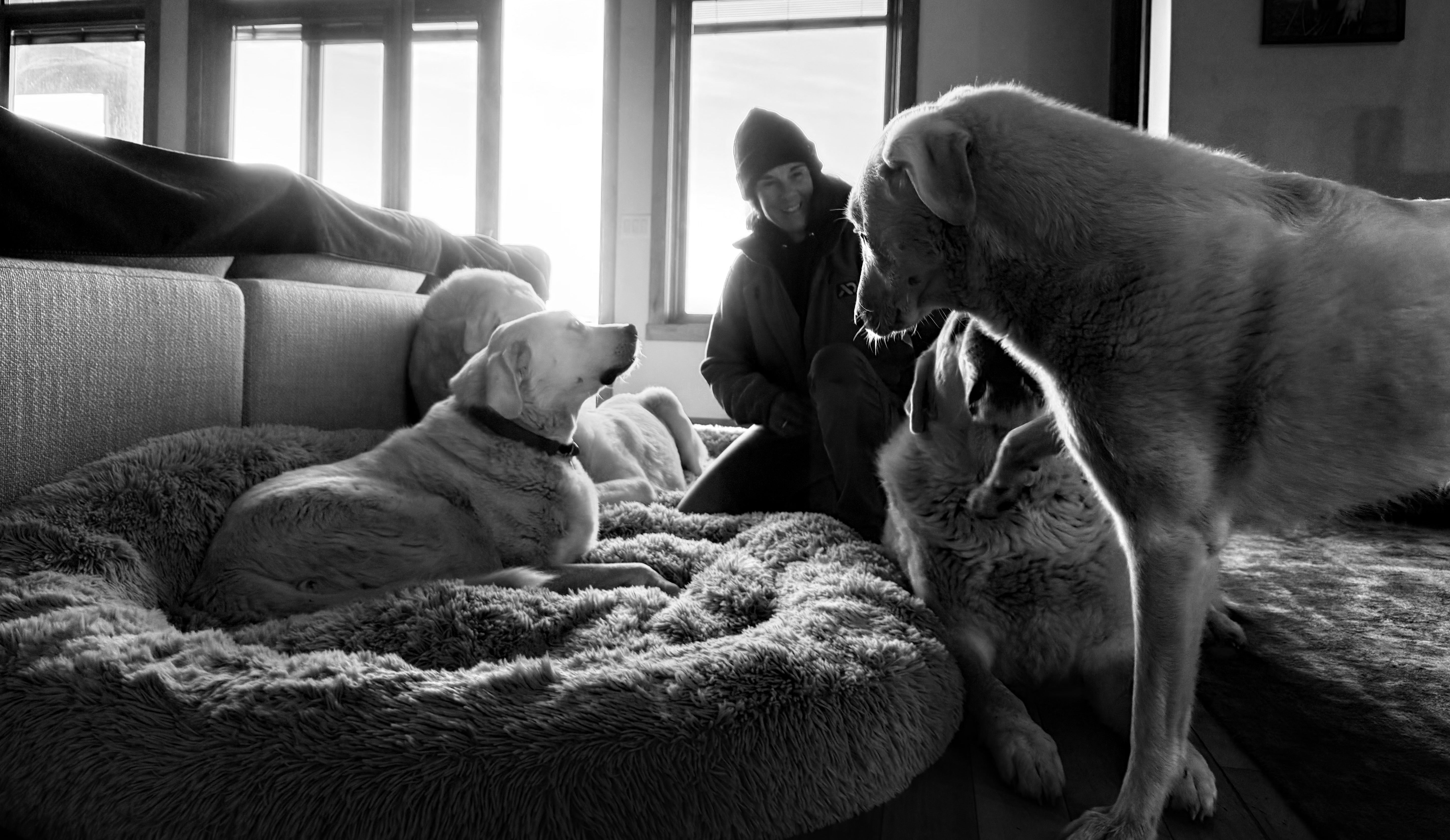 March 2026 Spotlight: Unega Mountain Dog Rescue