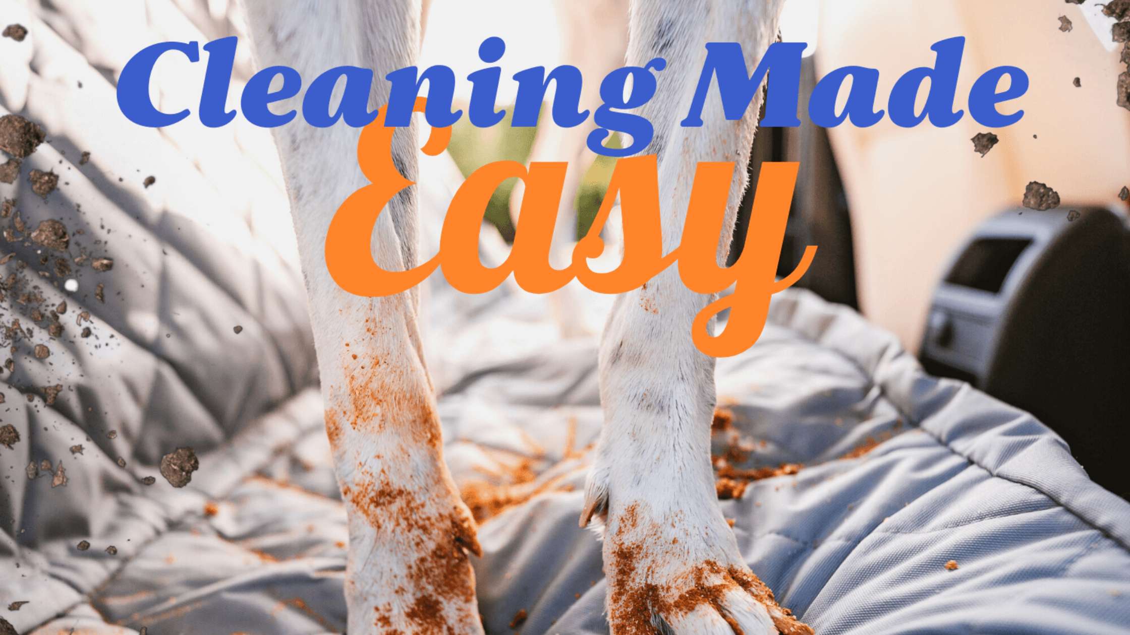 How to Keep Your Dog Car Seat Cover Clean and Durable