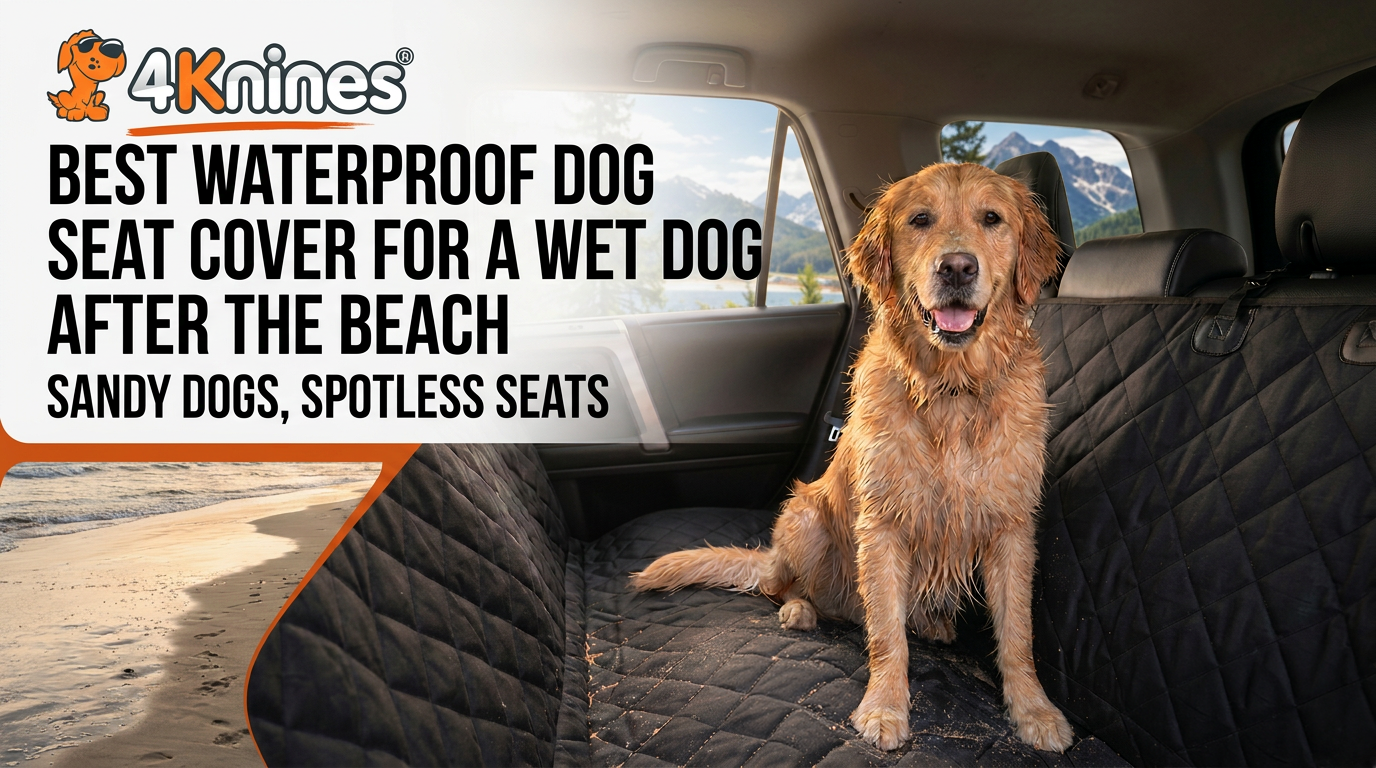 Best Waterproof Dog Seat Cover for a Wet Dog After the Beach