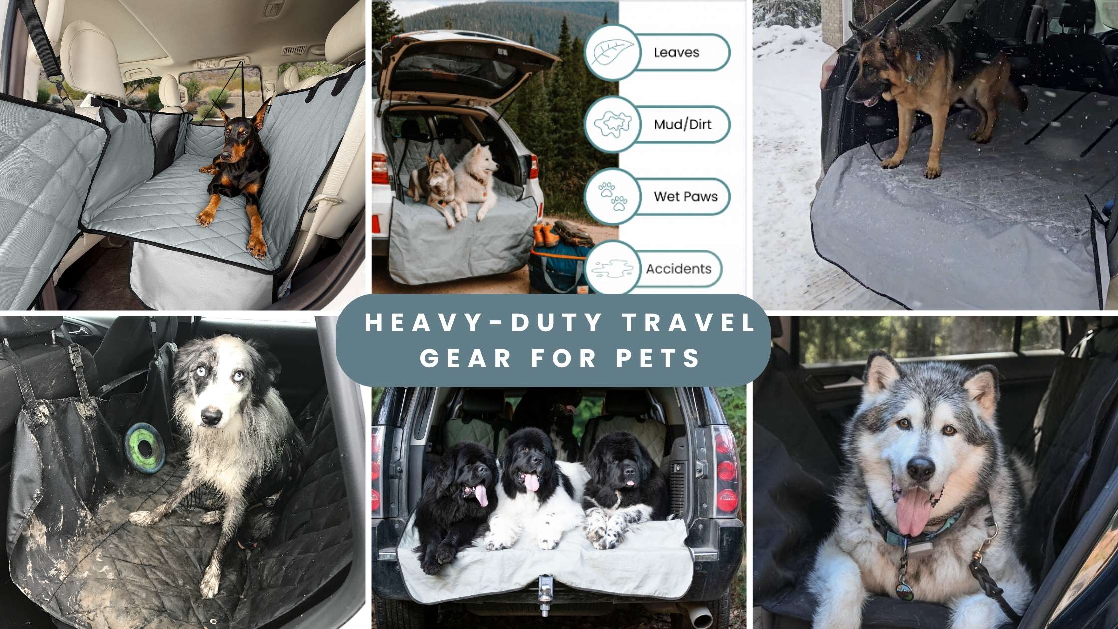 What Are Heavy-Duty Solutions for Pet Messes in Vehicles? | 4Knines