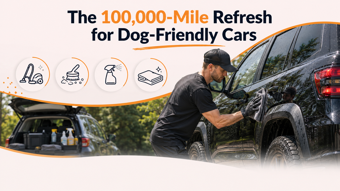 The 100,000-Mile Refresh for Dog-Friendly Cars