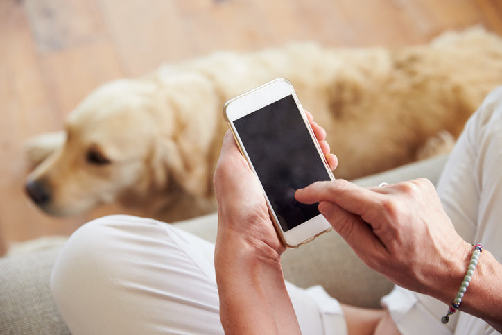 12 applications Pet Tech pour faciliter les soins de votre animal de compagnie