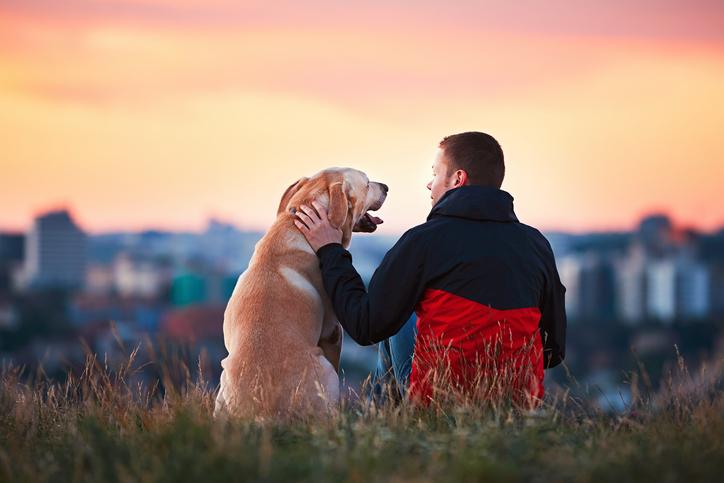 The Art of Dog Training: A Calm State of Mind