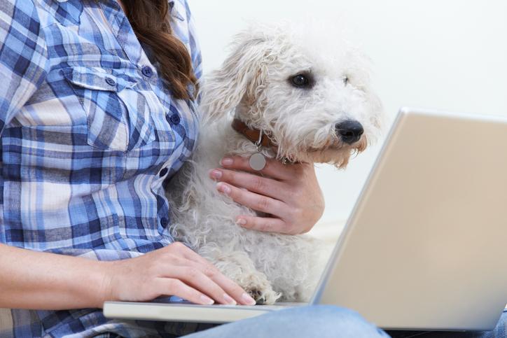 Beware of The So-Called "Internet" Pet Experts!