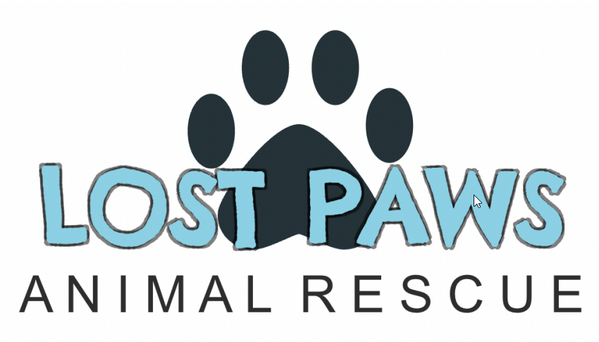 December 2024 Spotlight: Lost Paws Animal Rescue