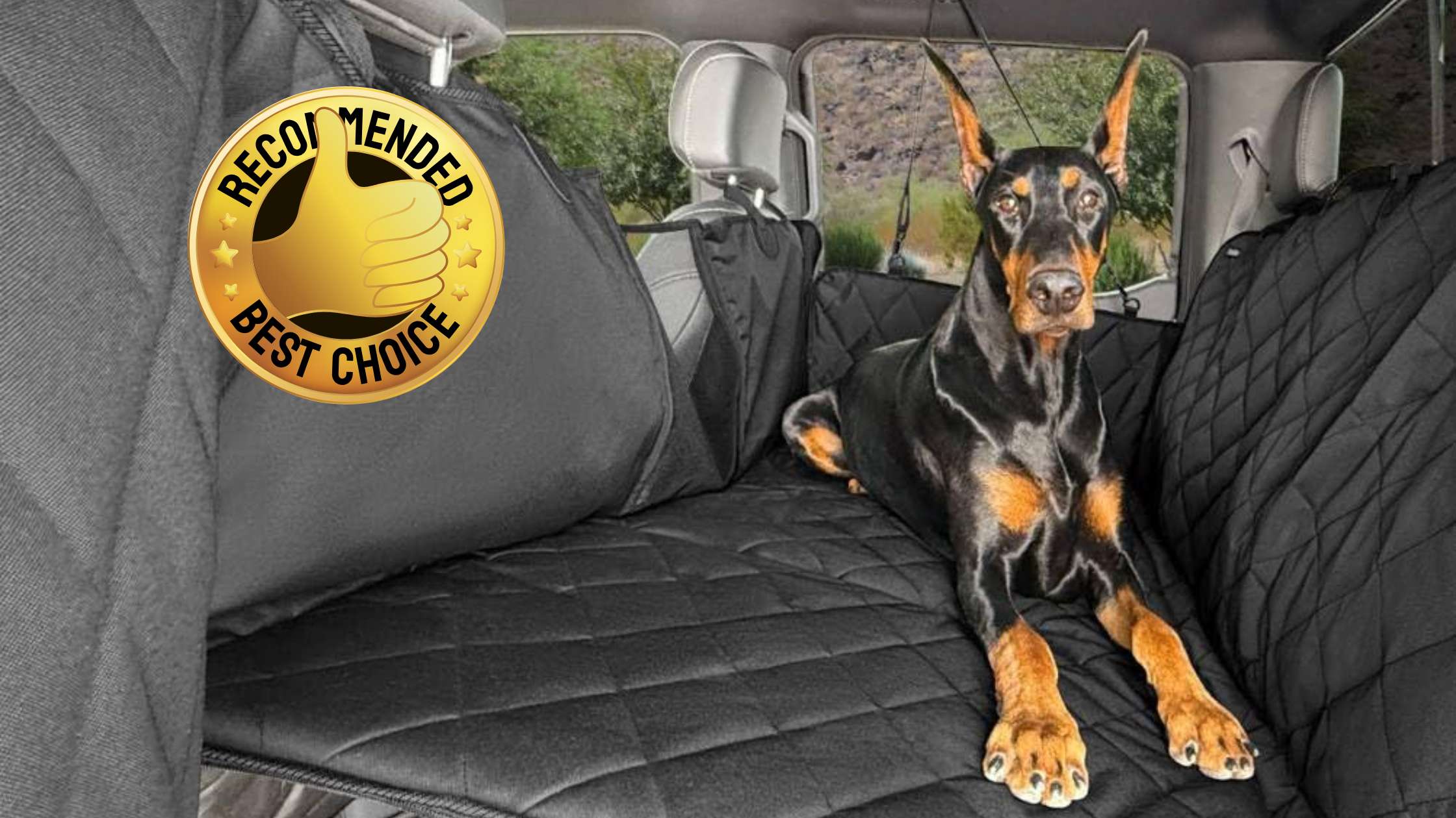 What Are the Most Recommended Dog Seat Covers on the Market? Discover the #1 Pick