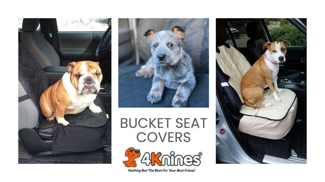Protect Leather Seats from Pet Damage with Quality Bucket Seat Covers