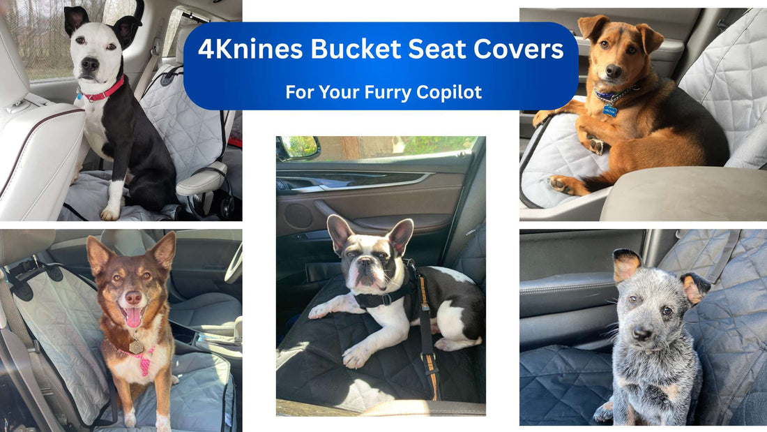 How to Choose the Best Bucket Seat Cover for Dogs | 4Knines Guide