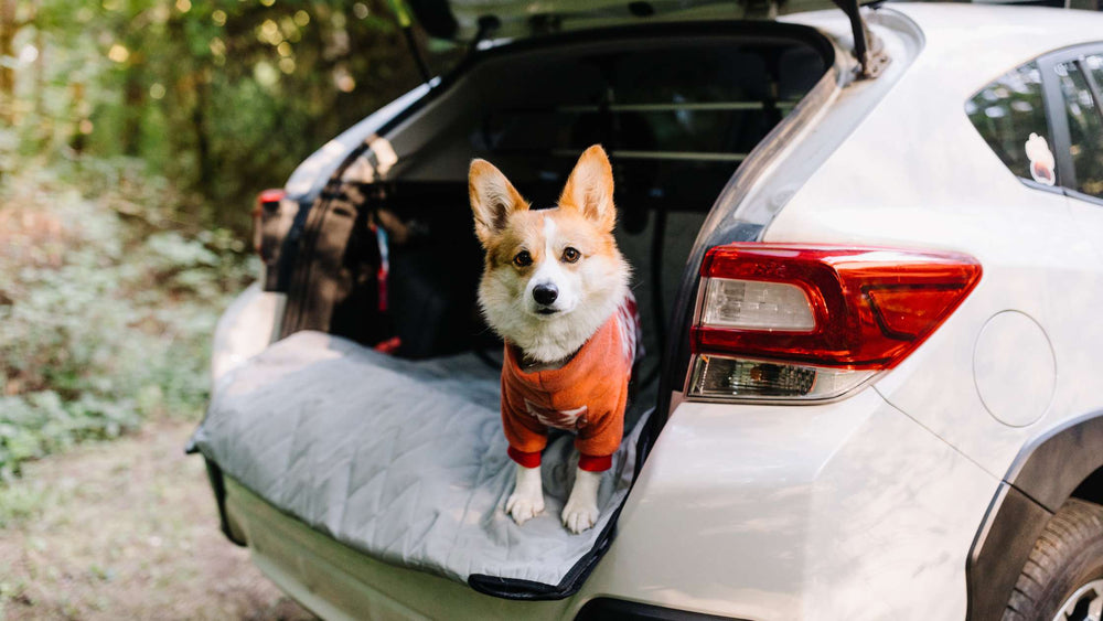 Best Materials for Pet Cargo Liners: Durable, Waterproof Fabrics – 4Knines®