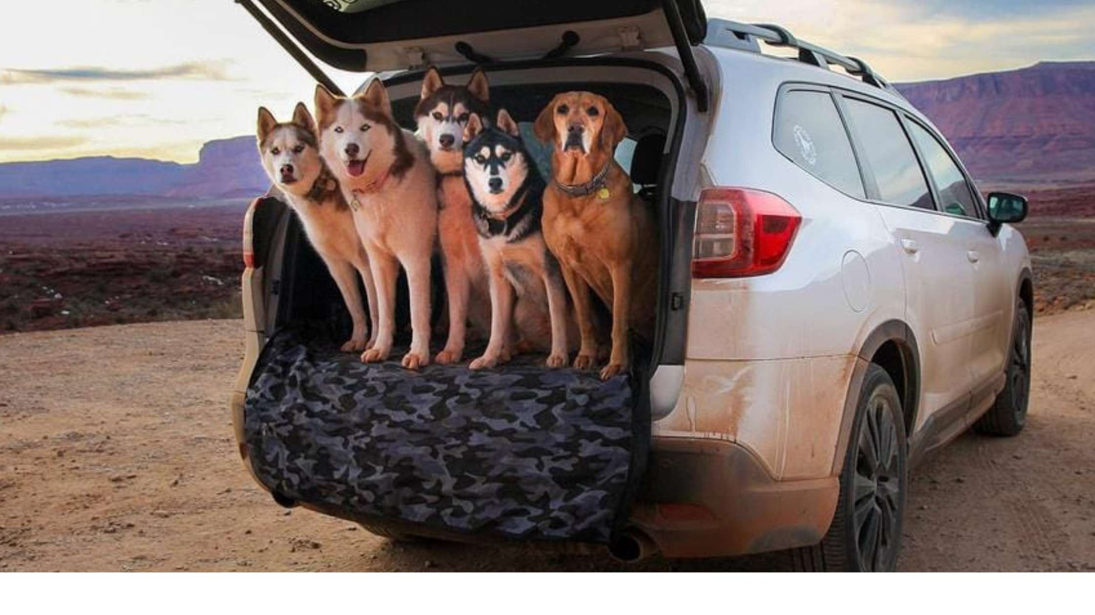 Ultimate Guide to Protecting Your Vehicle with Dog Cargo Liners