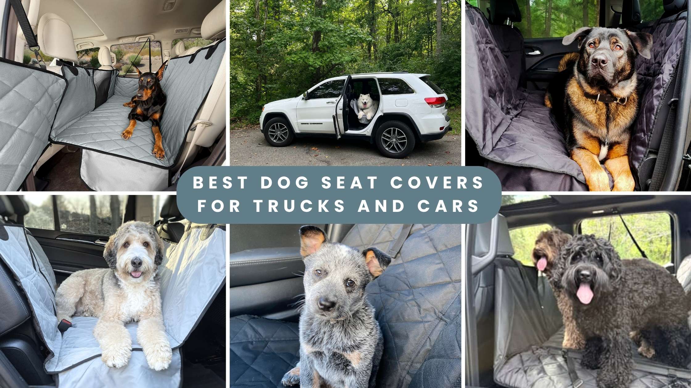 What Are the Best Dog Seat Covers for Trucks and Cars? | 4Knines Durable Protection