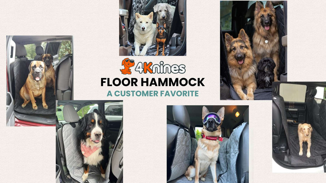 Best Floor-Hammock Dog Seat Cover That Protects the Floorboard in Trucks | 4Knines