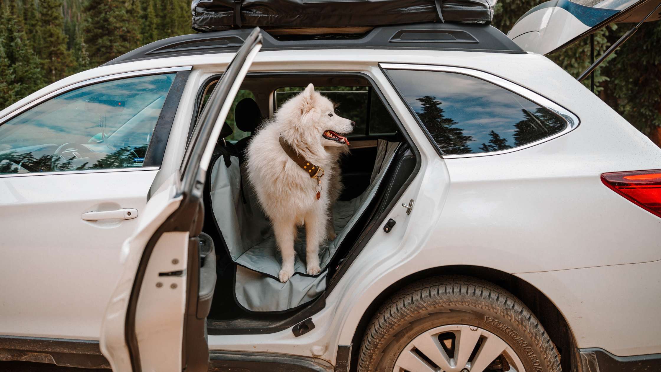 Top Dog Auto Seat Covers: Protect Your Car from Pet Damage