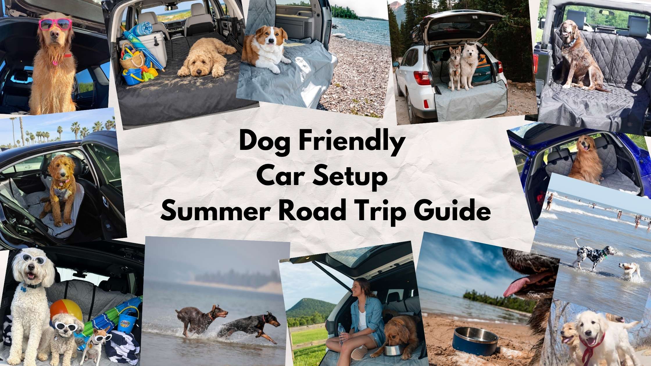 Dog Friendly Car Setup Summer Road Trip Guide