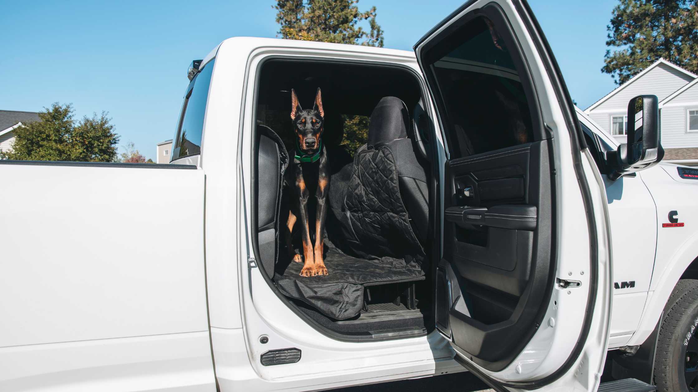 Find the Best Dog Seat Cover for Trucks with 4Knines