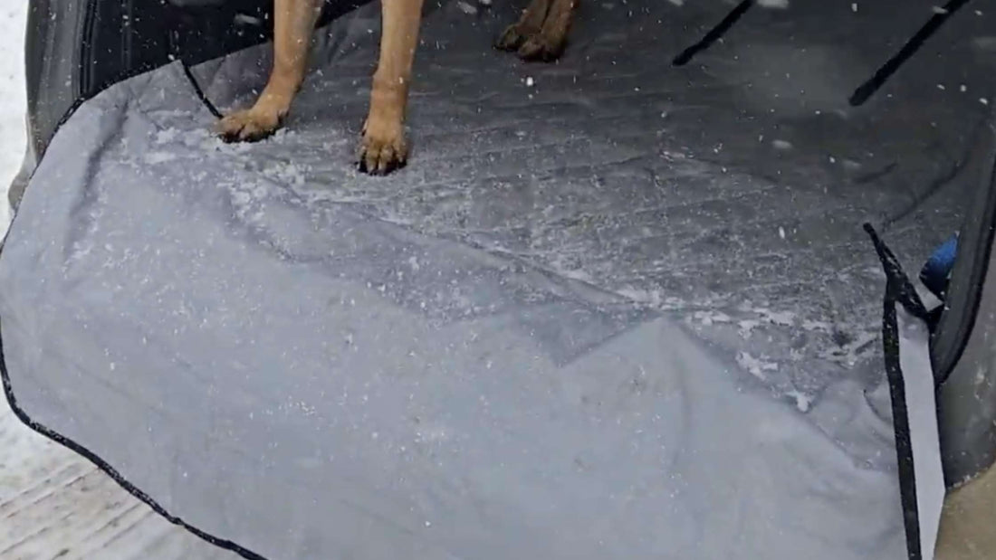 How Do Waterproof Seat Covers Work for Pets? Discover the 4Knines Advantage