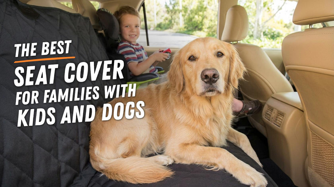 Best Dog Seat Cover for Families with Kids and Dogs